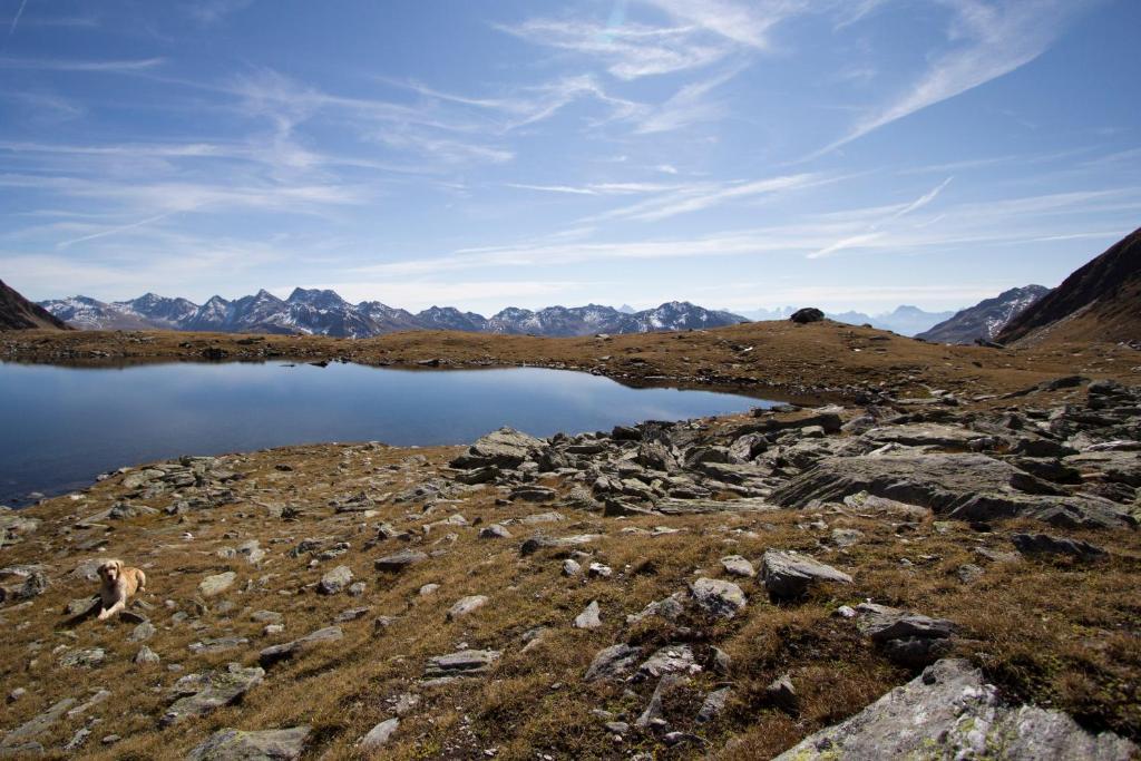 Alpengasthof Zollwirt Sankt Jakob in Defereggen Ngoại thất bức ảnh